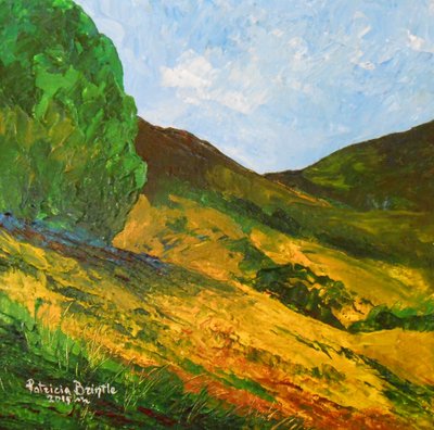 Morne La Selle, 2015 door Patricia Brintle