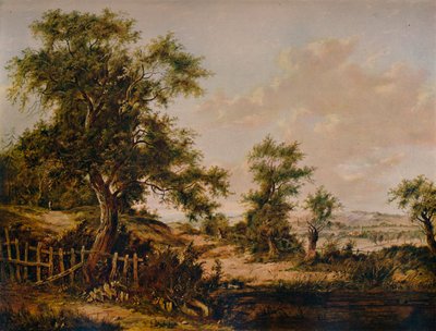 Landschap, met Vijver en Boom op de voorgrond, 1828 door Patrick Nasmyth