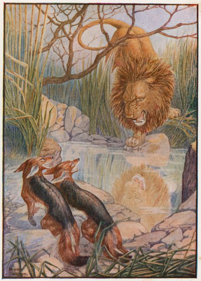 Een leeuwengezicht keek hem aan uit het water (kleur litho) door Patten Wilson