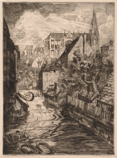 Kathedraal van Chartres, Chartres, Frankrijk door Paul B. Travis
