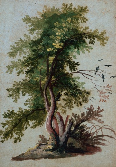 Een Boom met Twee Vogels op een Tak door Paul Brill or Bril