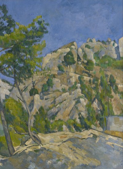 Bodem van het ravijn door Paul Cézanne