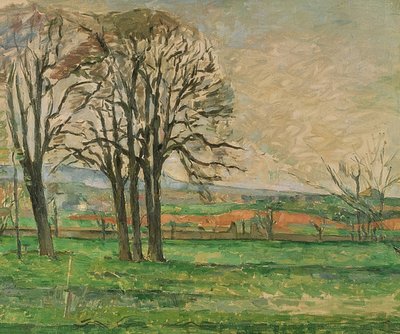 De kale bomen bij Jas de Bouffan door Paul Cézanne