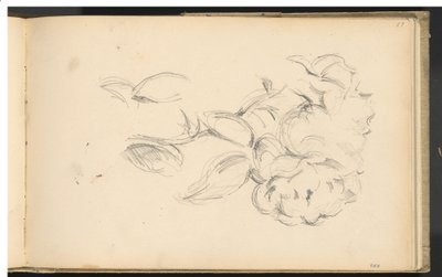 Pioenen door Paul Cézanne