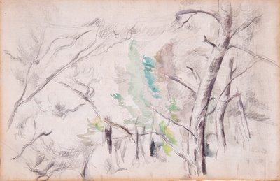 Bomen [recto]; Encagnane met de Pilon du Roi [verso] door Paul Cézanne