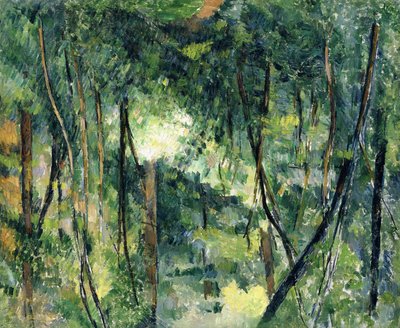 Onderhout door Paul Cézanne