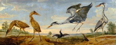 Roerdompen, reigers en waterrallen in een landschap door Paul De Vos