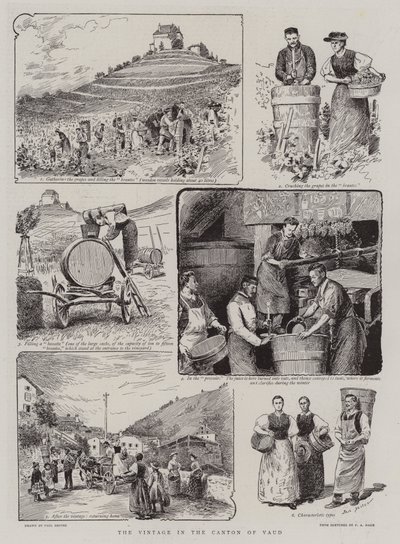 De Wijnoogst in het Kanton Vaud door Paul Destez