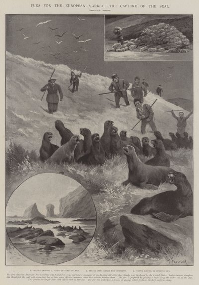 Bont voor de Europese Markt, de Vangst van de Zeehond door Paul Frenzeny