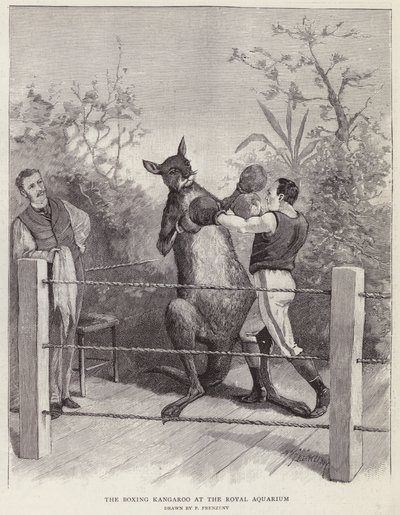De boksende kangoeroe in het Royal Aquarium, Londen door Paul Frenzeny