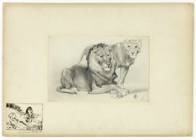 Leeuw en leeuwin door Paul Friedrich Meyerheim