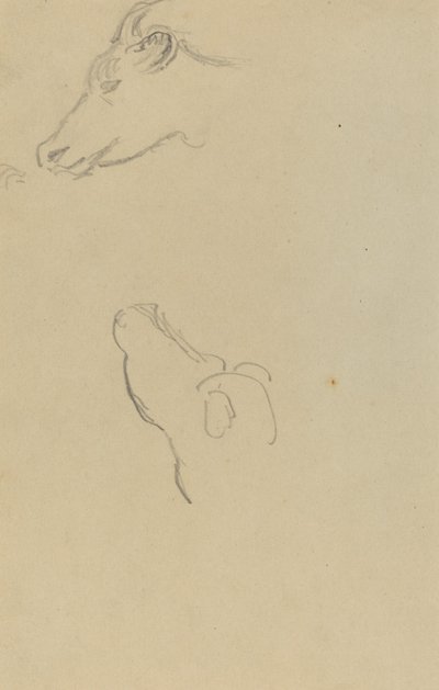 Hoofd van een Koe door Paul Gauguin