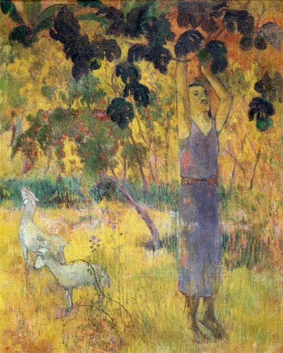 Man die fruit plukt van een boom, 1897 door Paul Gauguin