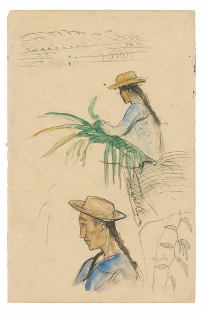 Schetsen van figuren, pandanusblad en vanilleplant door Paul Gauguin