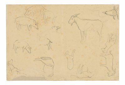 Schetsen van verschillende dieren en hoofd (recto), schetsen van een hoofd, figuur in profiel, anatomische details en dieren (verso) door Paul Gauguin