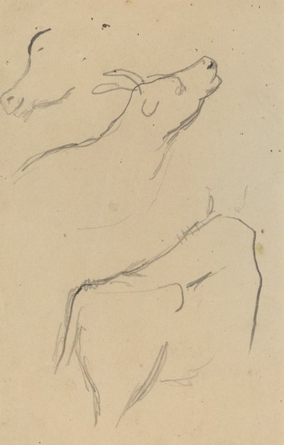 Studies van een Koe [verso] door Paul Gauguin
