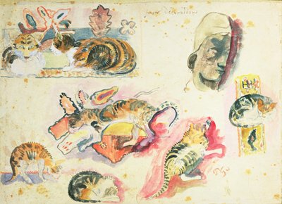 Studie van katten en een hoofd door Paul Gauguin