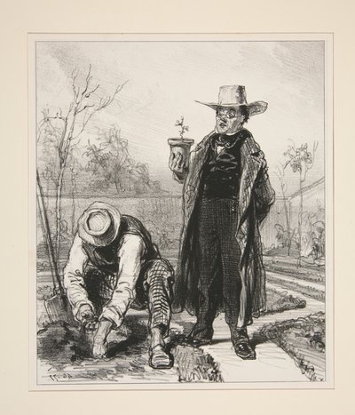 Mijn ceder van de Libanon door Paul Gavarni