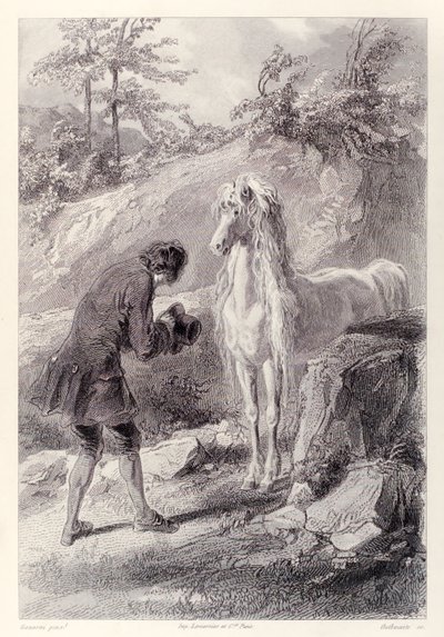 Het paard stopte en staarde naar mij, uit de Franse editie van Gullivers Reizen door Jonathan Swift door Paul Gavarni