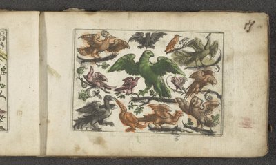 Roofvogel, elf andere vogels en een vleermuis door Paul Göttich