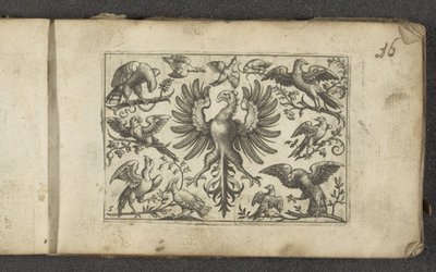Roofvogel en elf andere vogels door Paul Göttich