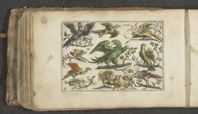 Roofvogel en tien andere vogels door Paul Göttich