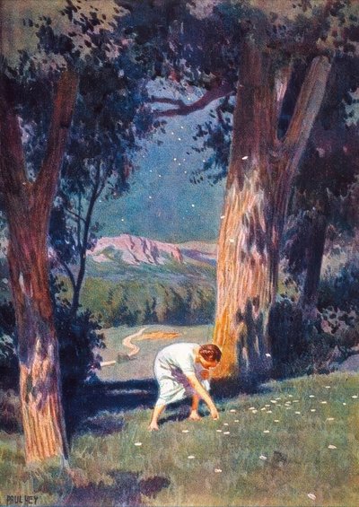 Het stergeld door Paul Hey