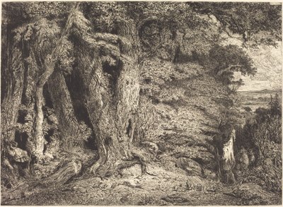 Ingang van het Bos door Paul Huet