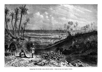 Landschap op het eiland Cuba, 1859 door Paul Huet