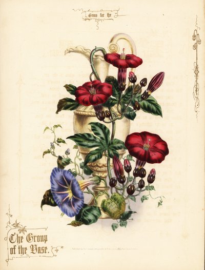 Boeket van scharlaken ipomoea en blauwe ochtendglorie met vaas door Paul Jerrard