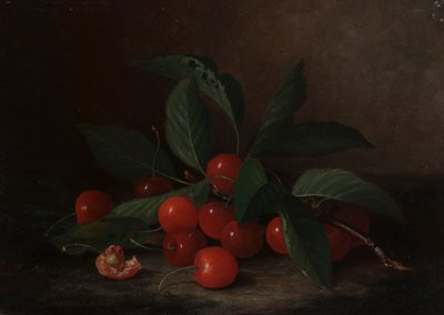 Stilleven met Kersen door Paul Lacroix