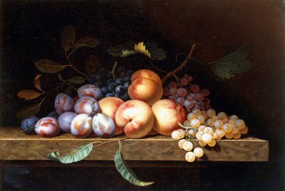 Perziken, pruimen en druiven op een stenen rand door Paul Liegeois