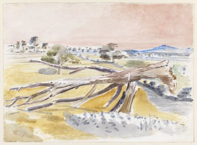 Monster Veld, Studie II door Paul Nash