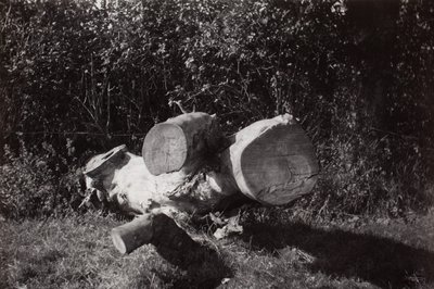 Object zoeken door Paul Nash