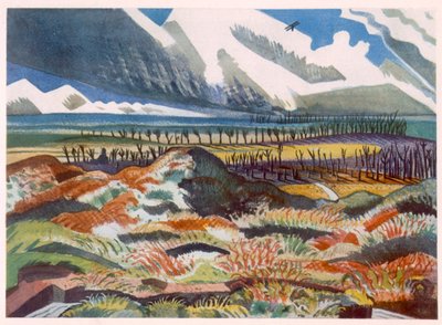 Verwoest land, Vimy, uit British Artists at the Front, Vervolg van The Western Front, Deel Drie, Paul Nash door Paul Nash