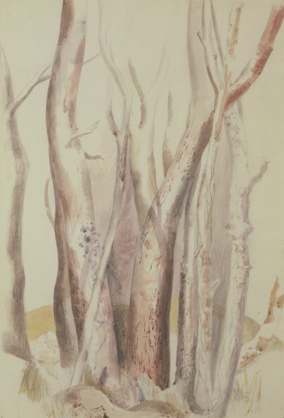 Studie van een Bebost Landschap door Paul Nash