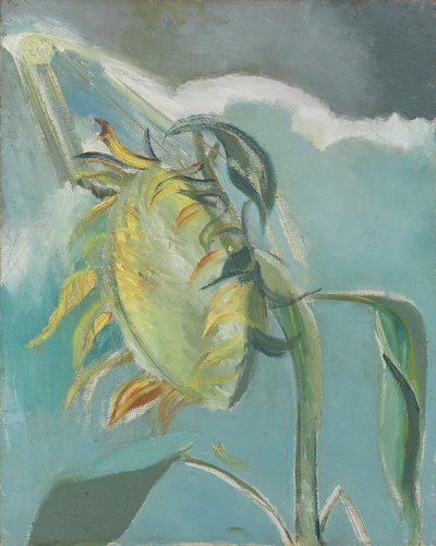 Zonnebloem en Zon, ca. 1945 door Paul Nash