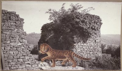 Tijger, Tijger, c.1938 (collage) door Paul Nash