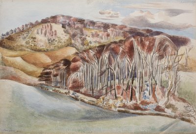 Hout en Heuvel door Paul Nash