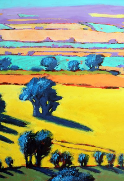 Cotswold Way close-up 6 door Paul Powis