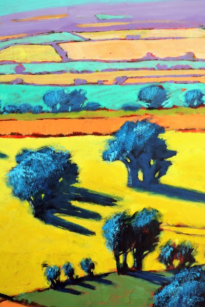 Cotswold Way close-up 8 door Paul Powis