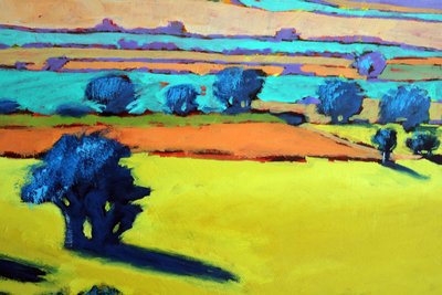 Cotswold Way close-up 9 door Paul Powis