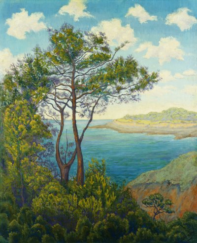 Kust in Bretagne, ca. 1898 door Paul Elie Ranson