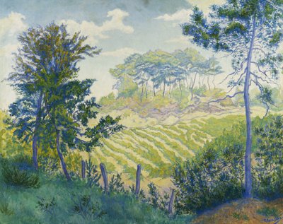 Wijngaarden Onder de Pijnbomen, c. 1898 door Paul Elie Ranson