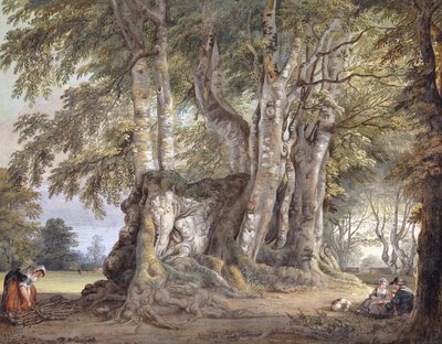 Een boerenmeisje dat takken verzamelt, en figuren zittend bij de stam van een oude knoestige beuk door Paul Sandby