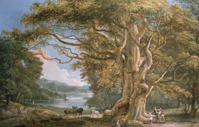 Oude Beuk door Paul Sandby