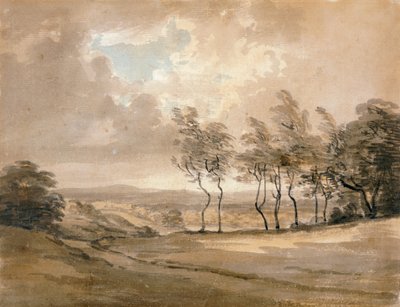 Uitzicht op Hampstead Heath door Paul Sandby