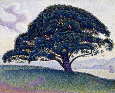  door Paul Signac