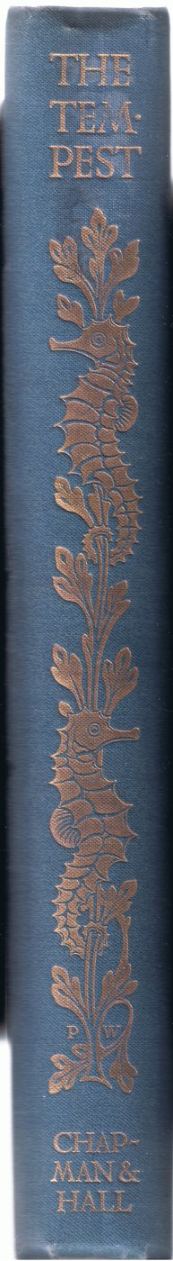 Rug ontwerp, illustratie uit De Storm, 1908 door Paul Vincent Woodroffe