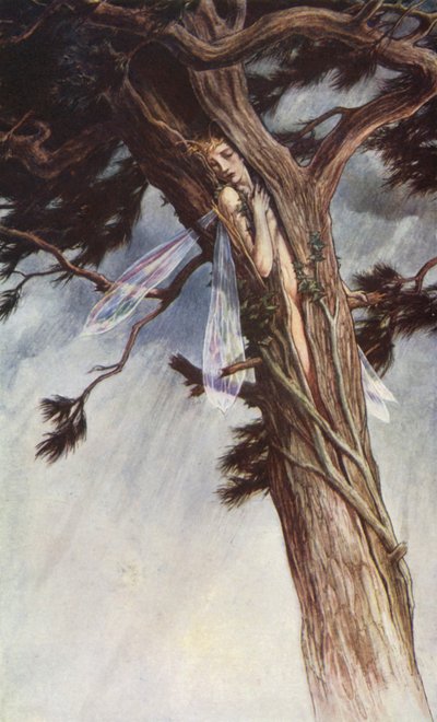 De Storm door William Shakespeare, Act I, Scene 2 door Paul Vincent Woodroffe